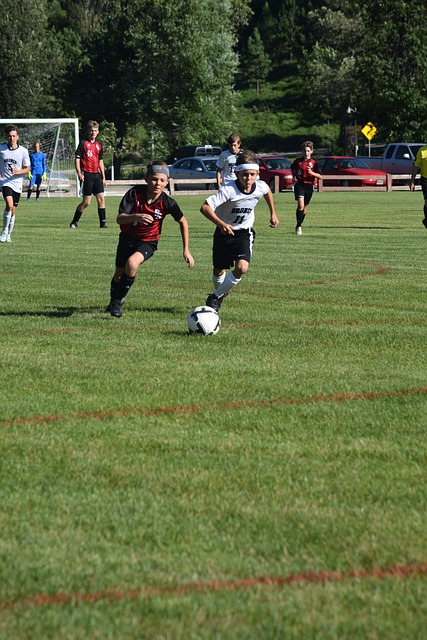 的差距绝非 的差距绝非