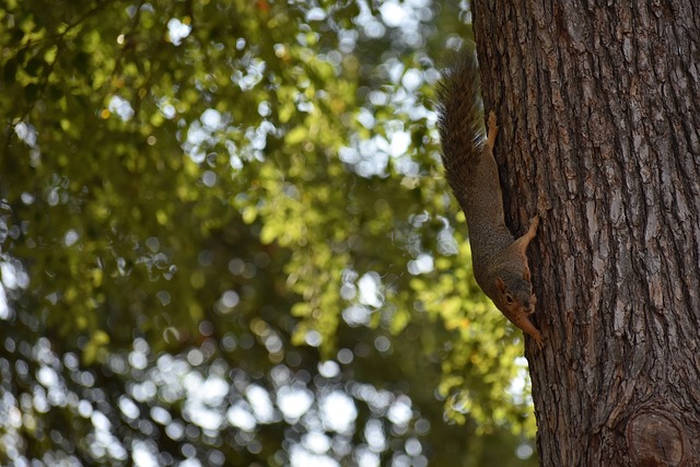 換句話說 換句話說