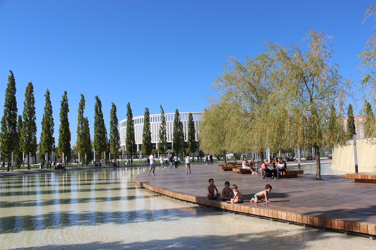 在这种背景 在这种背景