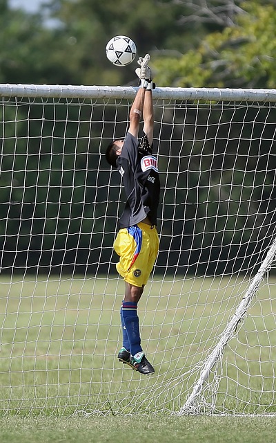 之间的默契 之间的默契